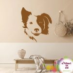 Border Koli - Slika 3