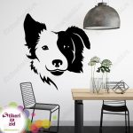 Border Koli - Slika 2