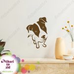 Dzek Rasel terijer - Slika 5