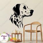 Dalmatinac - Slika 3