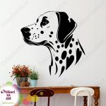 Dalmatinac - Slika 2